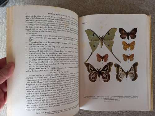 Emperor Moths of South and South-Central Africa - Elliot Pinhey