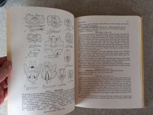 Emperor Moths of South and South-Central Africa - Elliot Pinhey