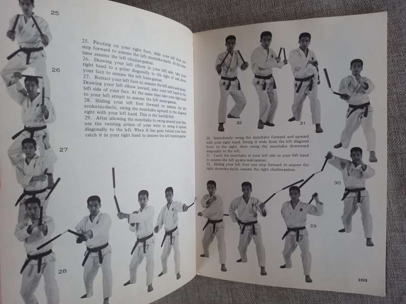 Nunchaku and Sai: Ancient Okinawan Martial Arts by Ryusho Sakagami