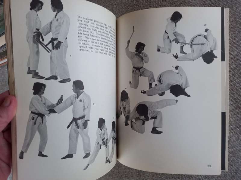 Nunchaku and Sai: Ancient Okinawan Martial Arts by Ryusho Sakagami
