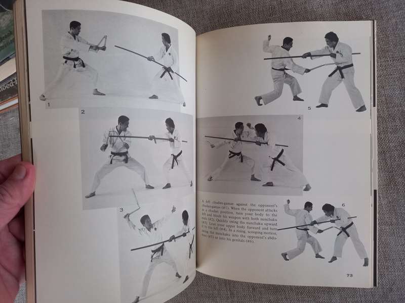 Nunchaku and Sai: Ancient Okinawan Martial Arts by Ryusho Sakagami