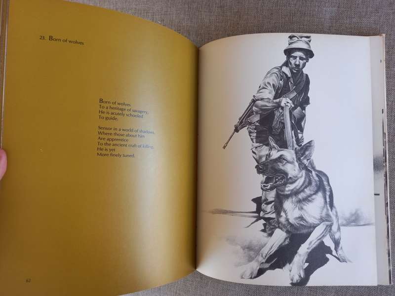 Images of War - Peter Badcock