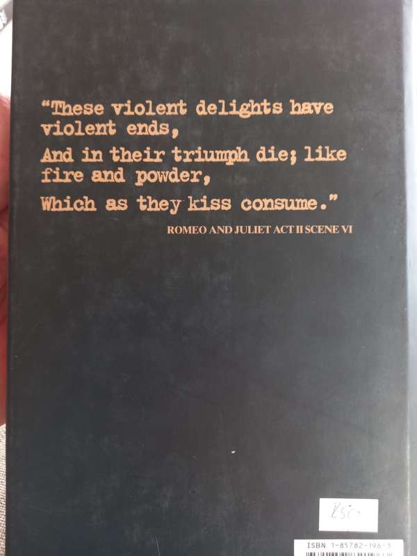Violent Delights - the true story of an SAS heroes love for an IRA killer - Scott Graham