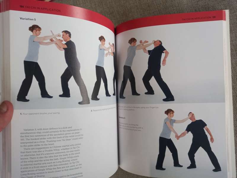 The Complete Tai Chi Tutor: A structured course to achieve professional expertise - Dan Docherty