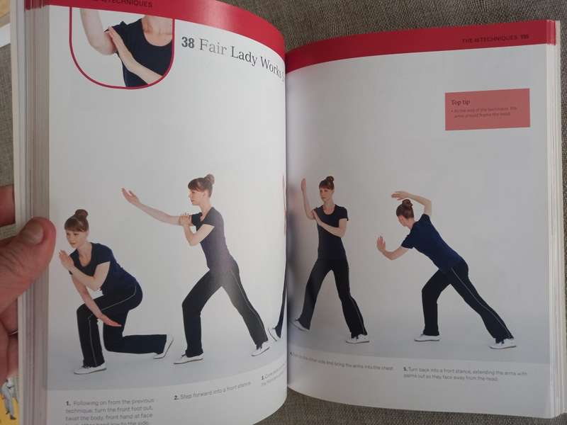 The Complete Tai Chi Tutor: A structured course to achieve professional expertise - Dan Docherty