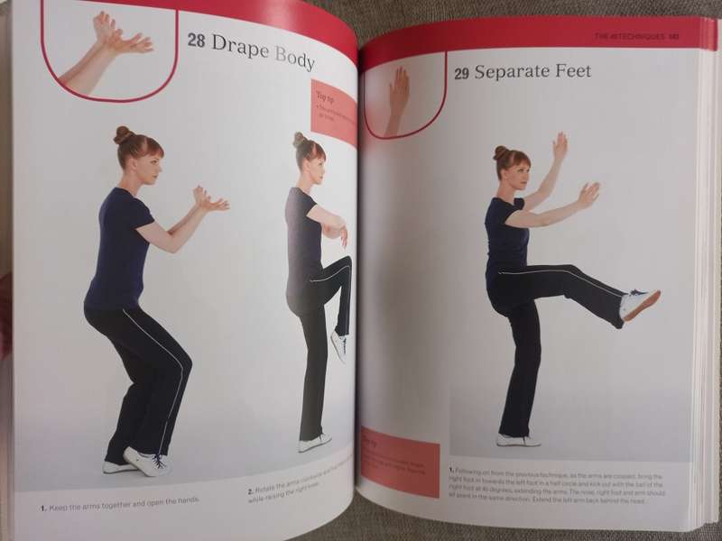 The Complete Tai Chi Tutor: A structured course to achieve professional expertise - Dan Docherty