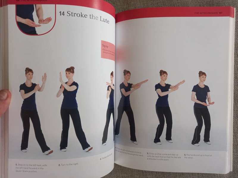 The Complete Tai Chi Tutor: A structured course to achieve professional expertise - Dan Docherty