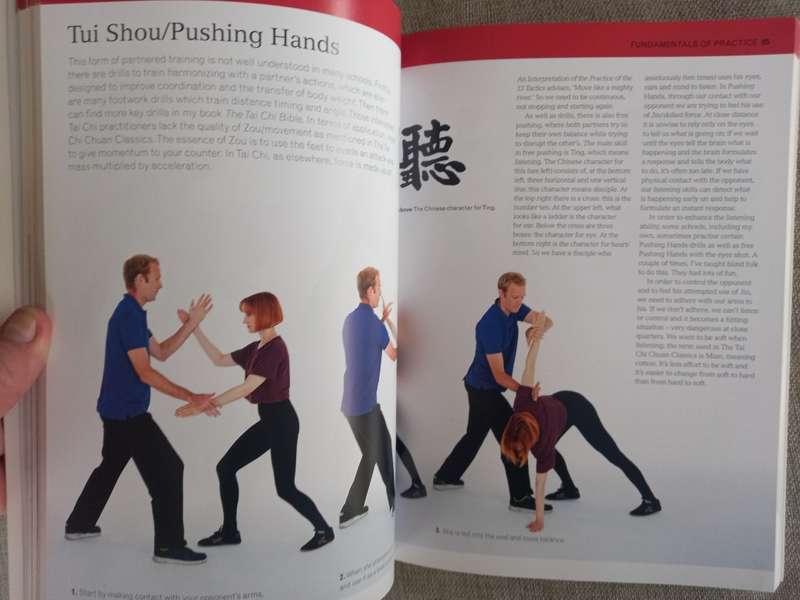 The Complete Tai Chi Tutor: A structured course to achieve professional expertise - Dan Docherty