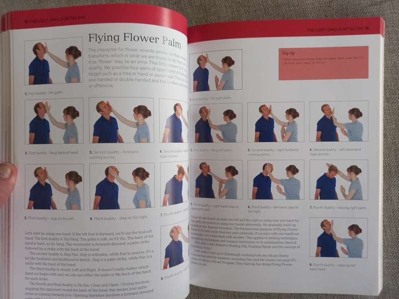 The Complete Tai Chi Tutor: A structured course to achieve professional expertise - Dan Docherty