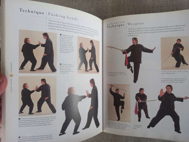 The Ultimate Book of Martial Arts- a step by step practical guide - Fay Goodman