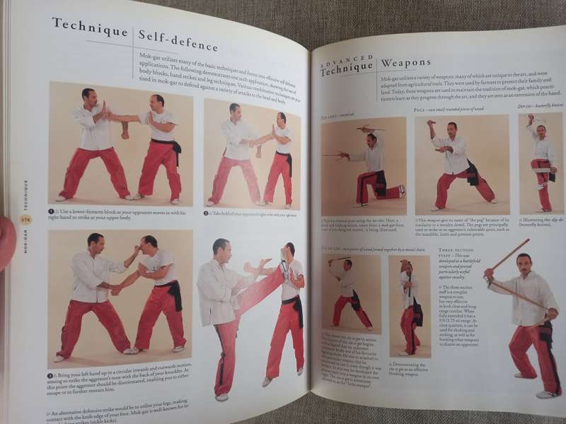 The Ultimate Book of Martial Arts- a step by step practical guide - Fay Goodman