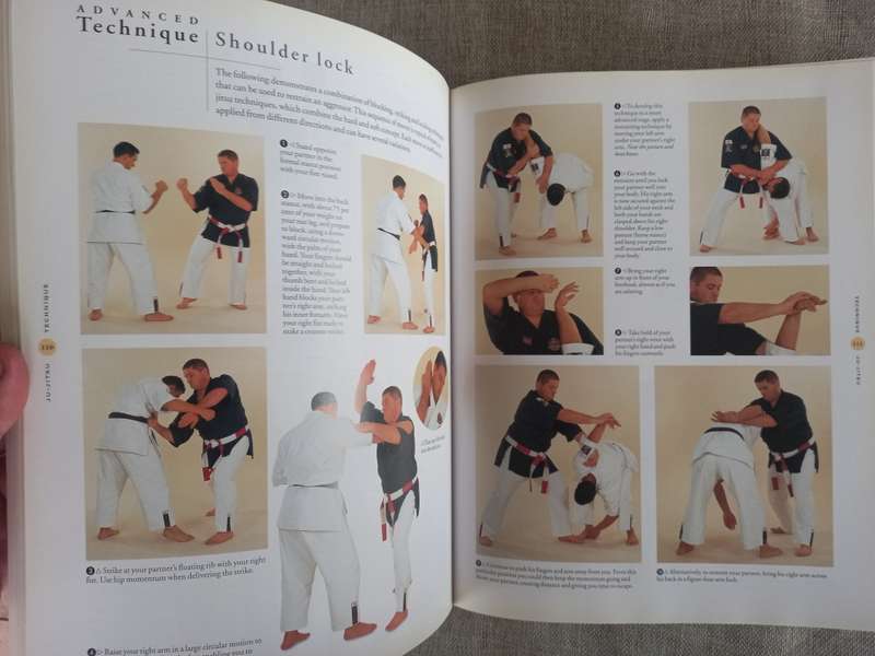 The Ultimate Book of Martial Arts- a step by step practical guide - Fay Goodman
