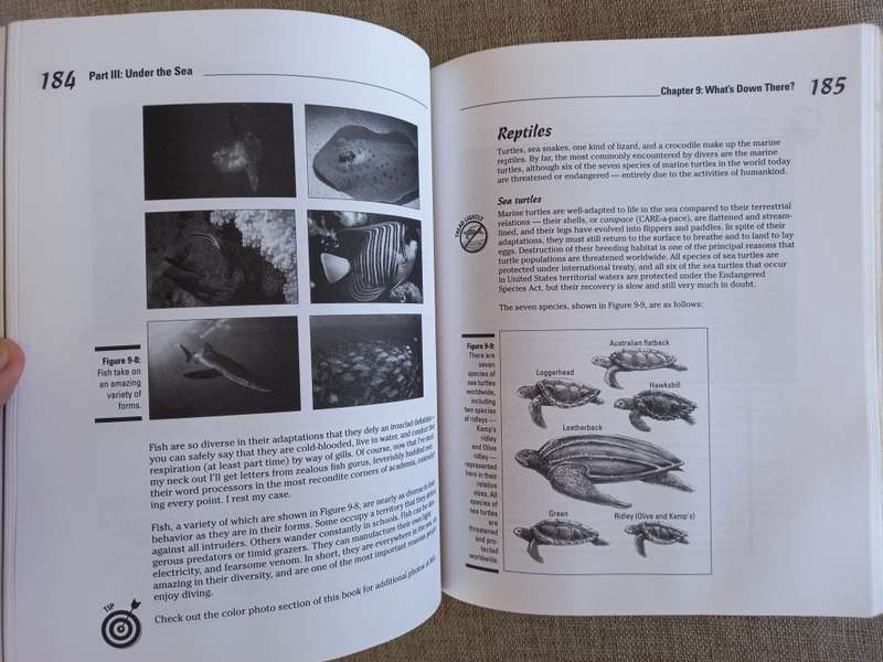 Scuba Diving and Snorkeling for Dummies