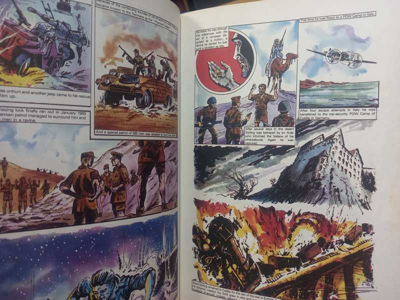 The SAS Annual - 1984