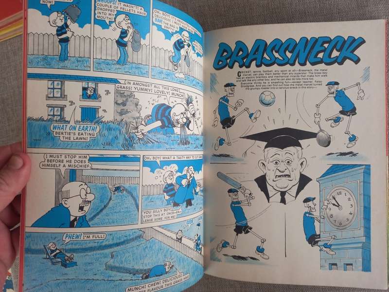 The Dandy Book Annual - 1984