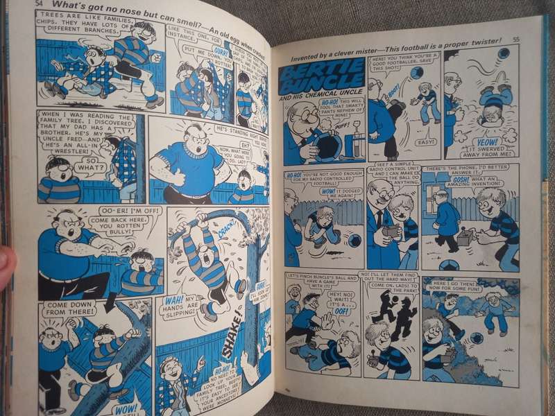 The Dandy Book Annual - 1981
