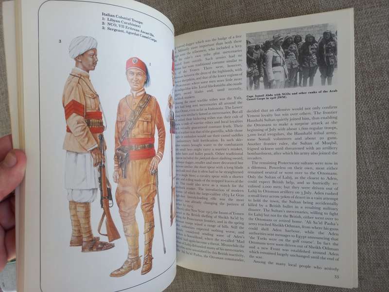 Lawrence and the Arab Revolts - Osprey Men at arms series 208 - Lawrence of Arabia