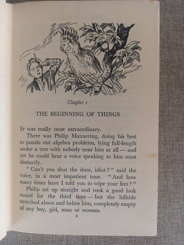 The Island of Adventure - Enid Blyton