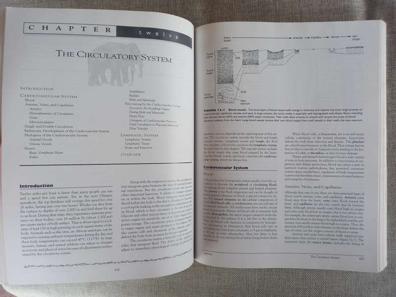 Vertebrates - International Edition - Comparative anatomy, function, evolution - Kardong - 3rd editi