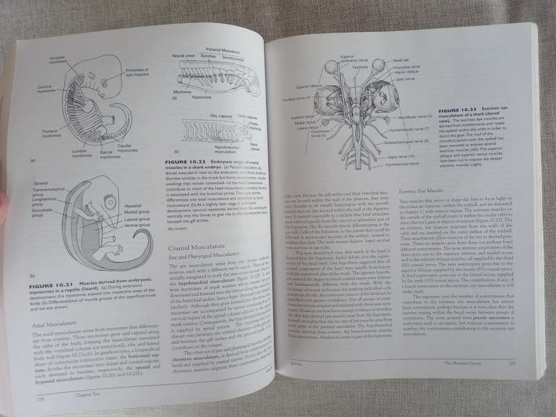 Vertebrates - International Edition - Comparative anatomy, function, evolution - Kardong - 3rd editi