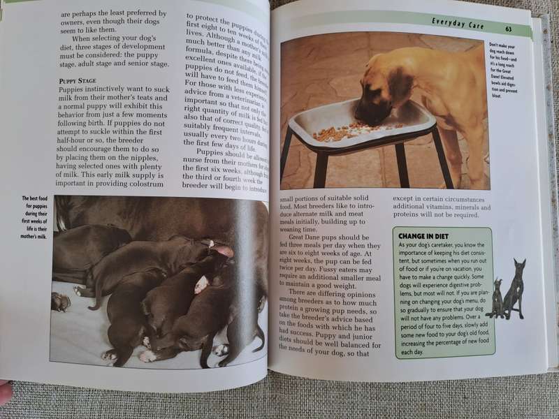 Great Dane - a Kennel Club Book- a comprehensive guide to owning and caring for your dog