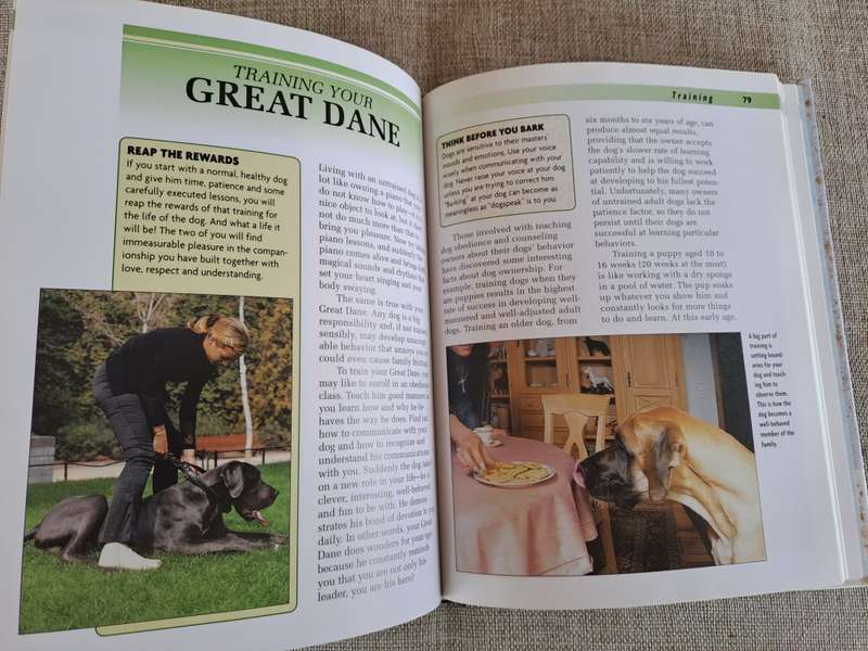 Great Dane - a Kennel Club Book- a comprehensive guide to owning and caring for your dog
