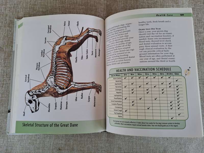 Great Dane - a Kennel Club Book- a comprehensive guide to owning and caring for your dog