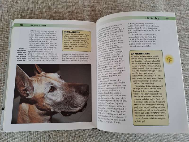 Great Dane - a Kennel Club Book- a comprehensive guide to owning and caring for your dog