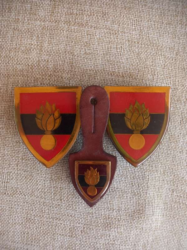 SADF Engineers School Flashes and Fob
