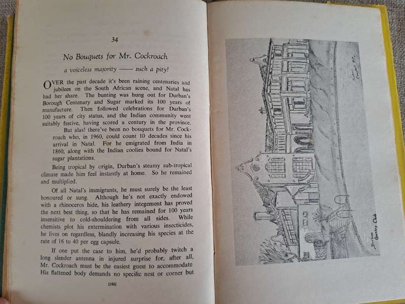 The Durban Story - Barbara Campbell Tait