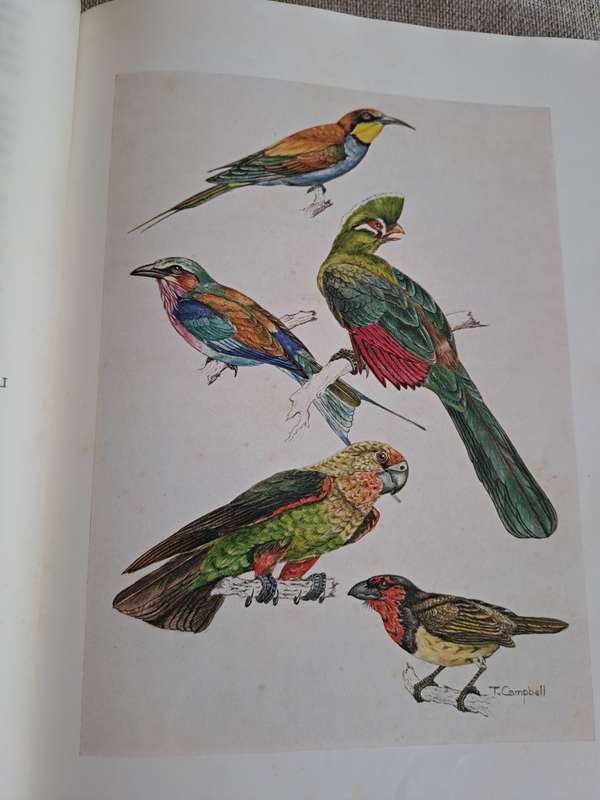 The Farmer`s Birds - J.M. Winterbottom