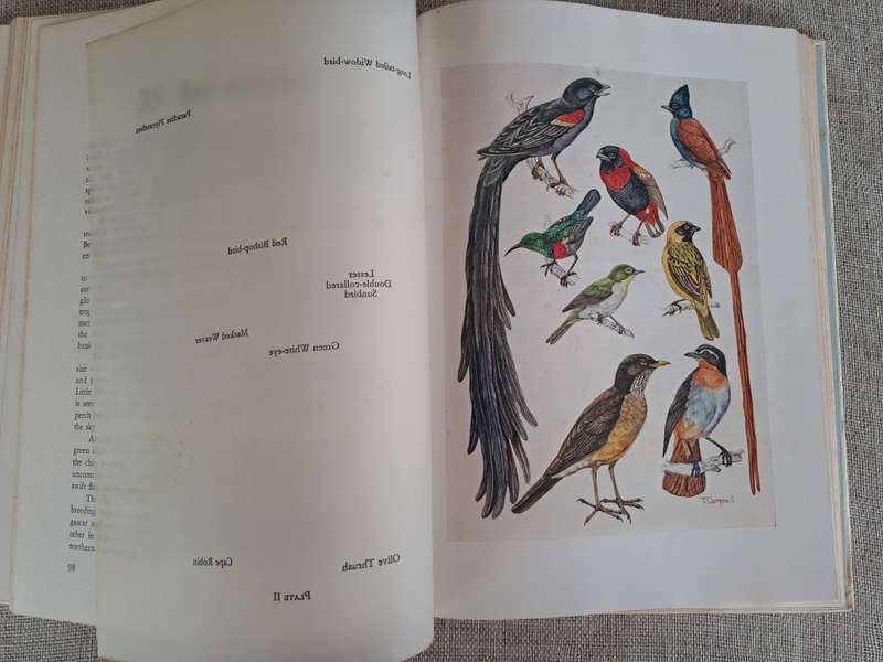 The Farmer`s Birds - J.M. Winterbottom