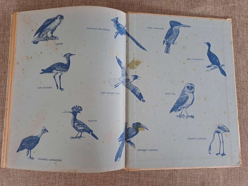 The Farmer`s Birds - J.M. Winterbottom