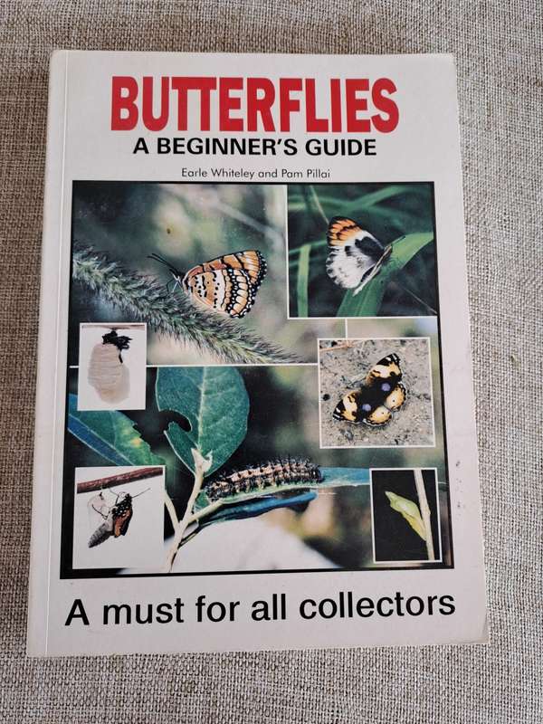 Butterflies A Beginner`s Guide - Earle Whitely and Pam Pillai