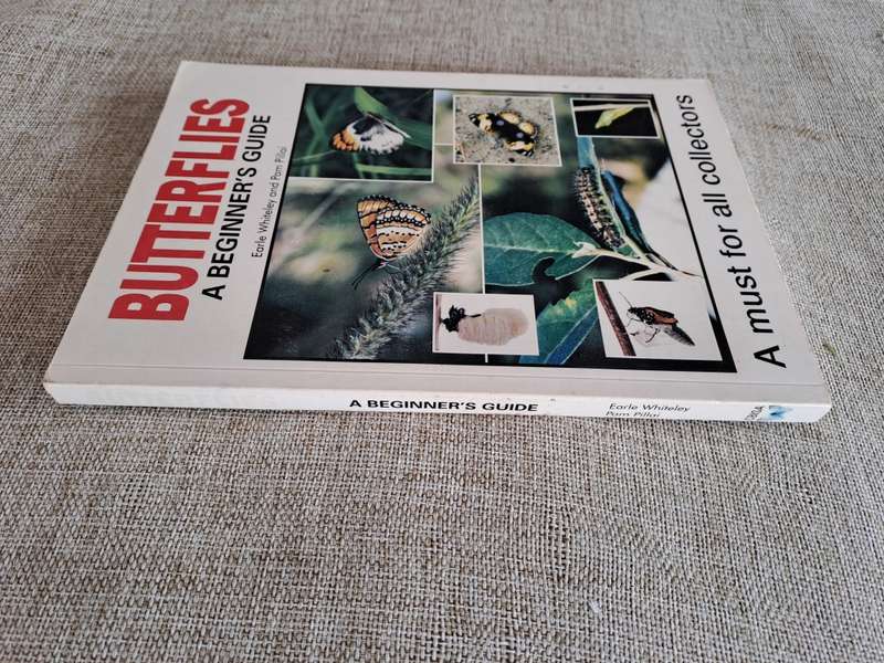 Butterflies A Beginner`s Guide - Earle Whitely and Pam Pillai