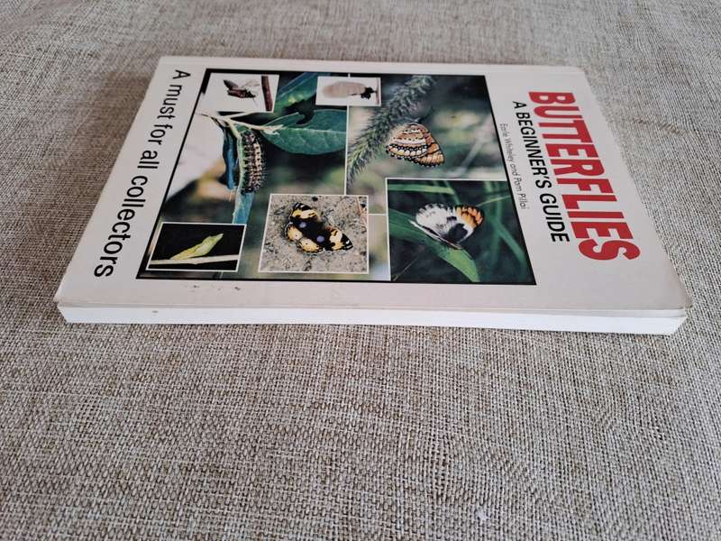 Butterflies A Beginner`s Guide - Earle Whitely and Pam Pillai