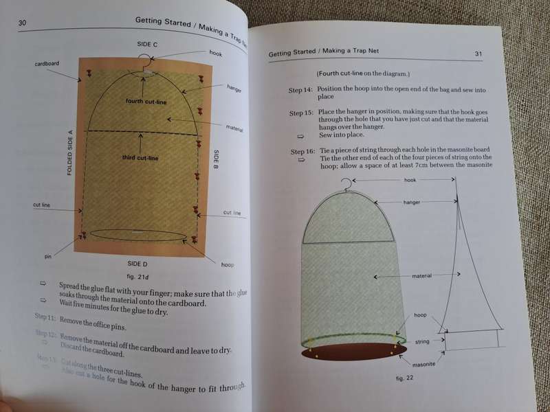 Butterflies A Beginner`s Guide - Earle Whitely and Pam Pillai