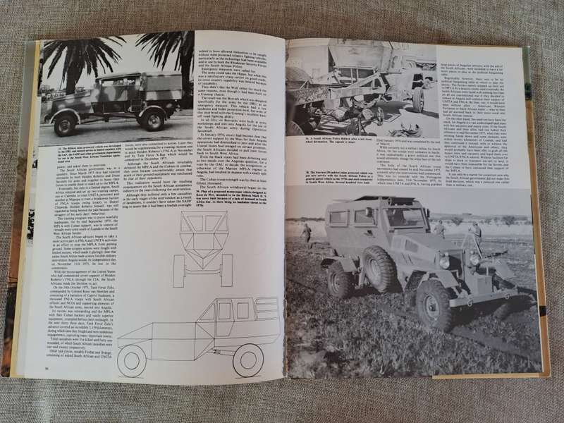 Taming the Landmine - Peter Stiff