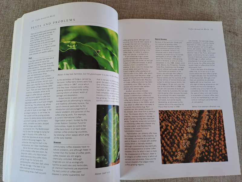 Coffee - Mary Banks, Christine McFadden, Catherine Atkinson