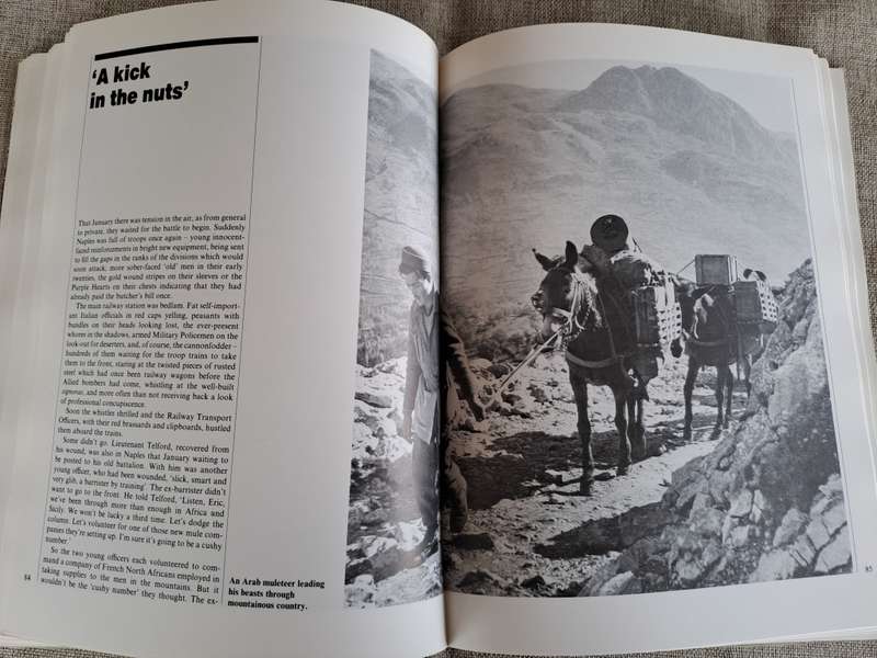 The Long March on Rome The Forgotton War - Charles Whiting