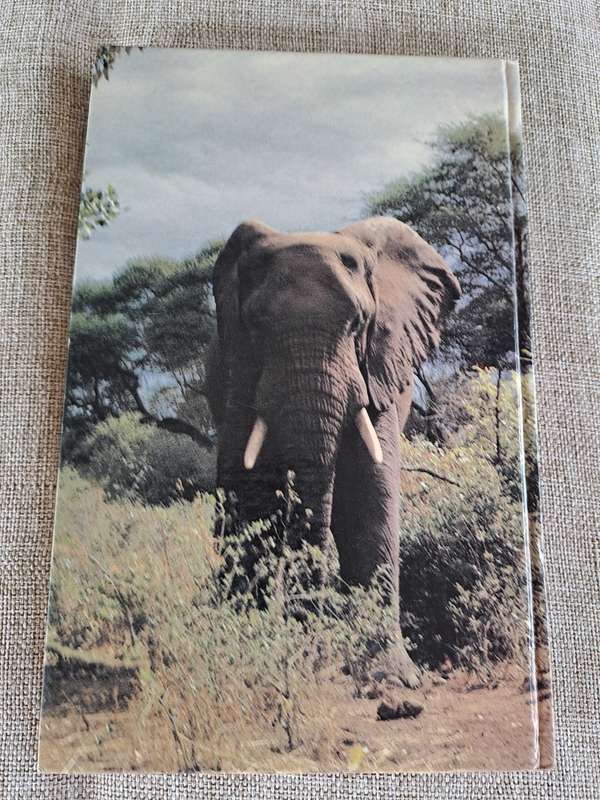 Oorlewing in die Wildernis - Dr. Eddie Young