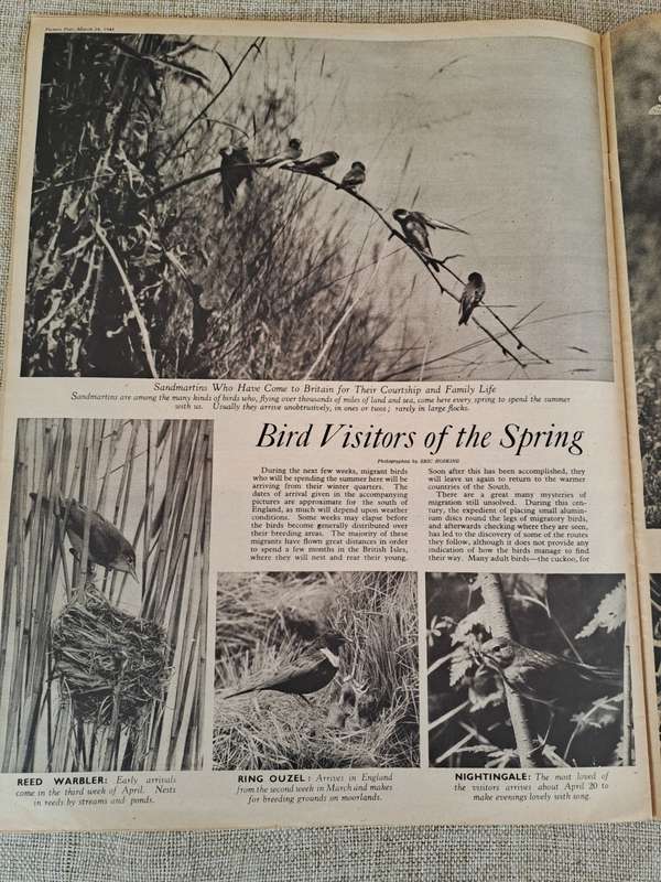 Picture Post Magazine Volume 26, Number 12, March 24, 1945