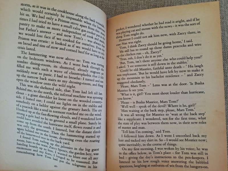Hurricane Wake (Uncorrected Proof Copy) - Rosalind Ashe