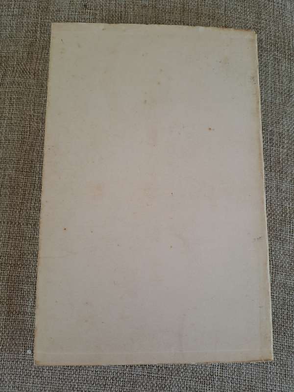 The Storm (Uncorrected Proof Copy) - Brian Rothery