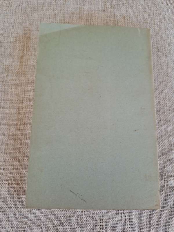 Man in the Cellar (Uncorrected Proof Copy) - Stories by Julia O`Faolain