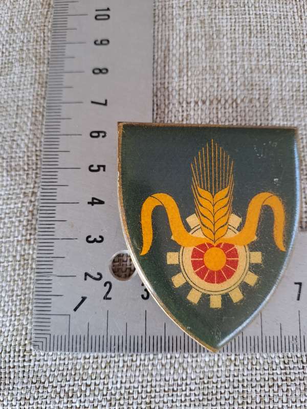 South African Defence Force (SADF) Quartermaster General Shoulder Flash Badge