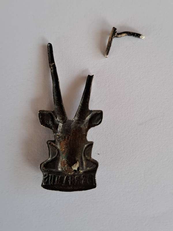 SWATF Head Quarters Collar (x2) and Beret / Cap Badges