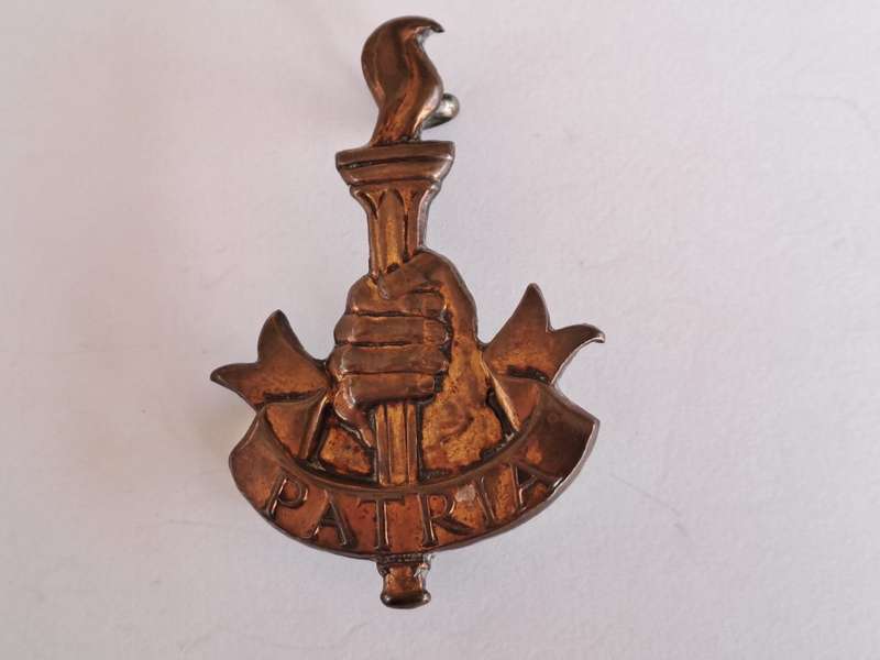 S.A. Army Youth Training Brigade Cap Badge