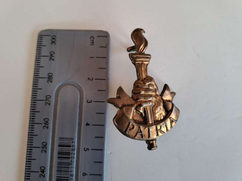 S.A. Army Youth Training Brigade Cap Badge