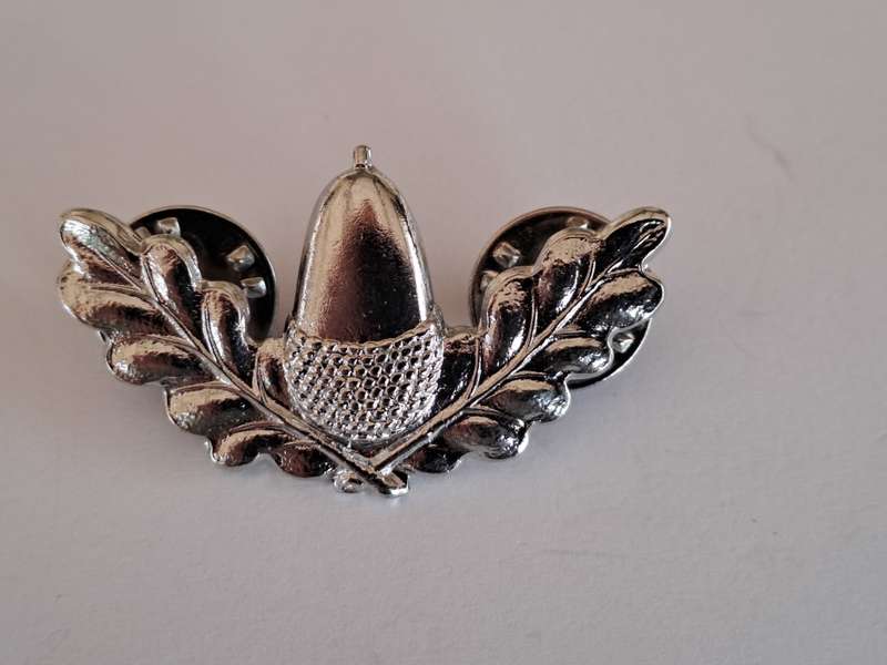 Stellenbosch University Regiment collar badge